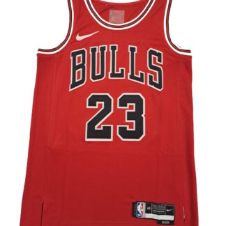 NBA Jersey Chicago Bulls Nike NBA 13